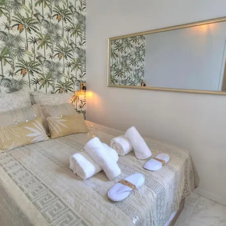 Appartement Centre Rue D'antibes Et Palais Cannes