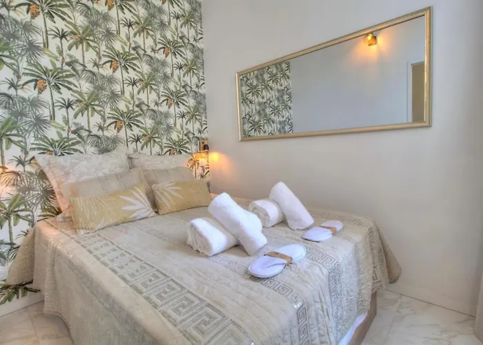 Daire Centre Rue D'antibes Et Palais *