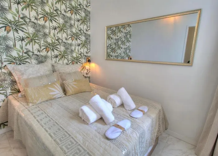 Apartment Centre Rue D'antibes Et Palais Cannes