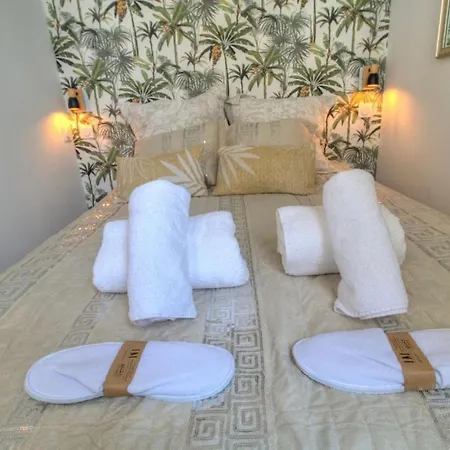 Centre Rue D'antibes Et Palais